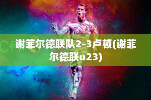 謝菲爾德聯(lián)隊(duì)2-3盧頓(謝菲爾德聯(lián)u23)