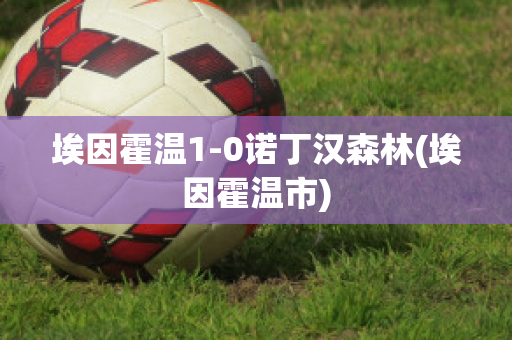 埃因霍溫1-0諾丁漢森林(埃因霍溫市)