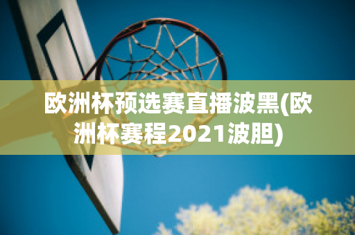 歐洲杯預(yù)選賽直播波黑(歐洲杯賽程2021波膽)