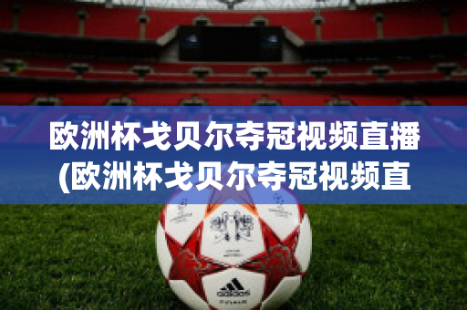 歐洲杯戈貝爾奪冠視頻直播(歐洲杯戈貝爾奪冠視頻直播在線觀看)