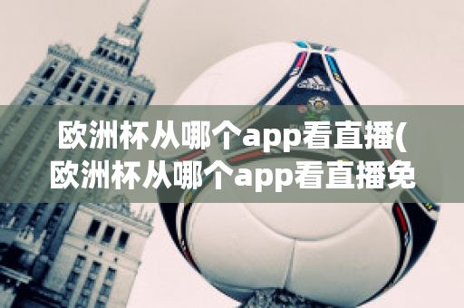 歐洲杯從哪個(gè)app看直播(歐洲杯從哪個(gè)app看直播免費(fèi))