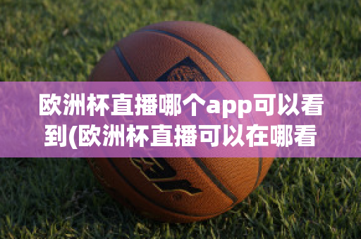 歐洲杯直播哪個app可以看到(歐洲杯直播可以在哪看)