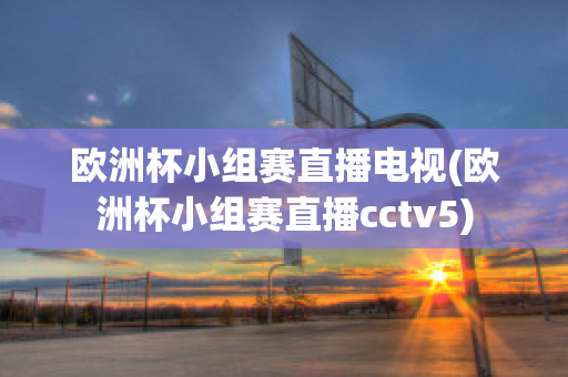 歐洲杯小組賽直播電視(歐洲杯小組賽直播cctv5)