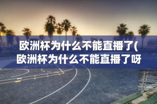 歐洲杯為什么不能直播了(歐洲杯為什么不能直播了呀)