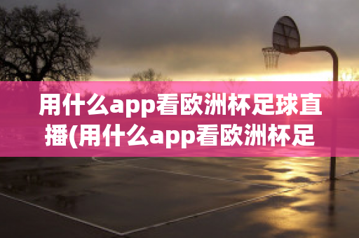 用什么app看歐洲杯足球直播(用什么app看歐洲杯足球直播)