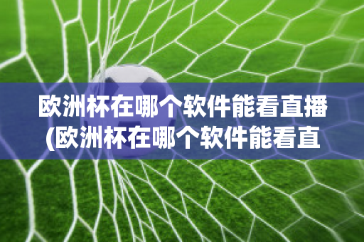 歐洲杯在哪個(gè)軟件能看直播(歐洲杯在哪個(gè)軟件能看直播回放)