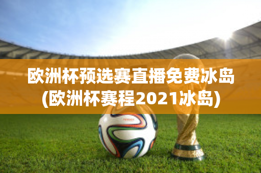 歐洲杯預(yù)選賽直播免費(fèi)冰島(歐洲杯賽程2021冰島)