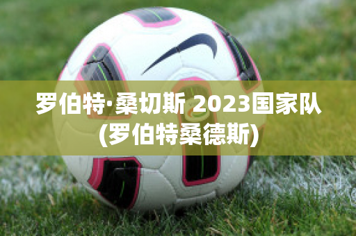 羅伯特·桑切斯 2023國家隊(duì)(羅伯特桑德斯)