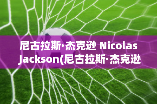 尼古拉斯·杰克遜 Nicolas Jackson(尼古拉斯·杰克遜身高)