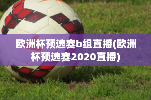 歐洲杯預選賽b組直播(歐洲杯預選賽2020直播)