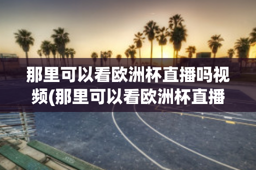 那里可以看歐洲杯直播嗎視頻(那里可以看歐洲杯直播嗎視頻回放)