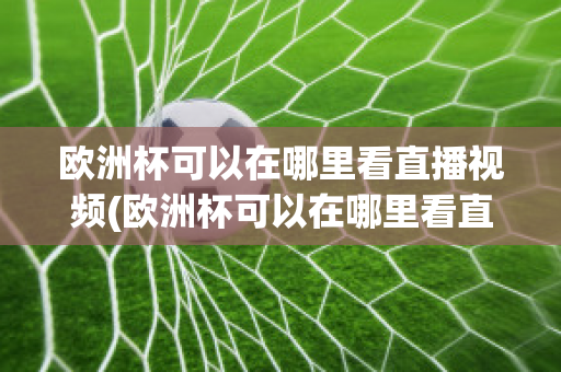 歐洲杯可以在哪里看直播視頻(歐洲杯可以在哪里看直播視頻回放)