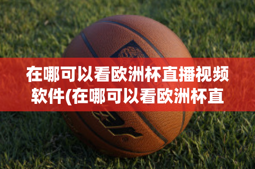 在哪可以看歐洲杯直播視頻軟件(在哪可以看歐洲杯直播視頻軟件啊)