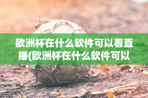 歐洲杯在什么軟件可以看直播(歐洲杯在什么軟件可以看直播回放)