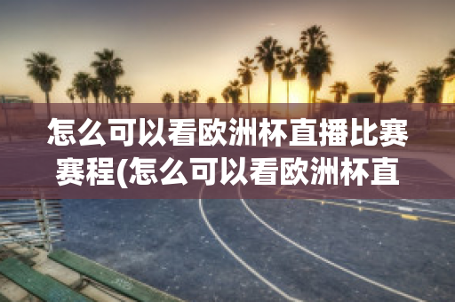 怎么可以看歐洲杯直播比賽賽程(怎么可以看歐洲杯直播比賽賽程視頻)