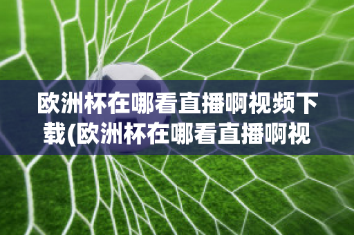 歐洲杯在哪看直播啊視頻下載(歐洲杯在哪看直播啊視頻下載安裝)