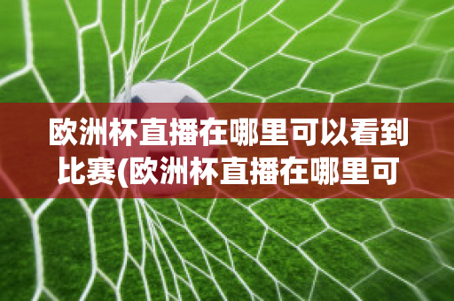 歐洲杯直播在哪里可以看到比賽(歐洲杯直播在哪里可以看到比賽結(jié)果)