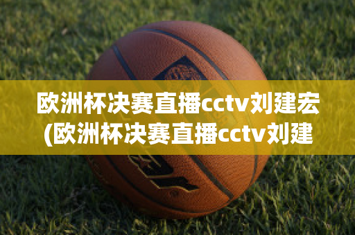 歐洲杯決賽直播cctv劉建宏(歐洲杯決賽直播cctv劉建宏回放)