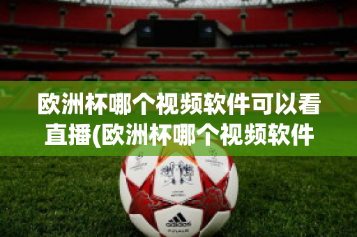 歐洲杯哪個視頻軟件可以看直播(歐洲杯哪個視頻軟件可以看直播回放)