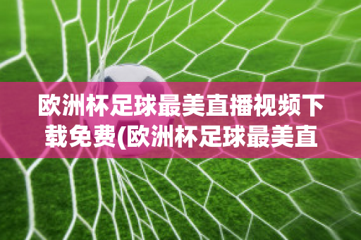 歐洲杯足球最美直播視頻下載免費(fèi)(歐洲杯足球最美直播視頻下載免費(fèi)播放)