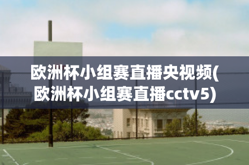 歐洲杯小組賽直播央視頻(歐洲杯小組賽直播cctv5)