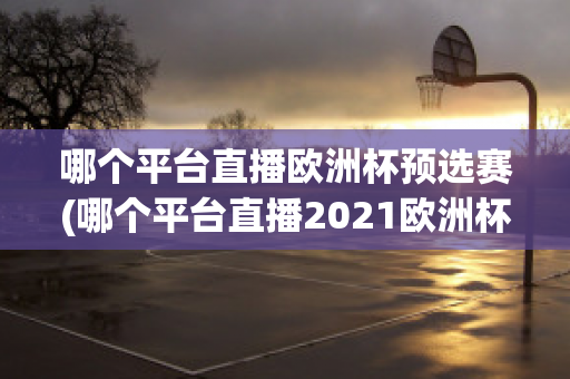 哪個平臺直播歐洲杯預(yù)選賽(哪個平臺直播2021歐洲杯)