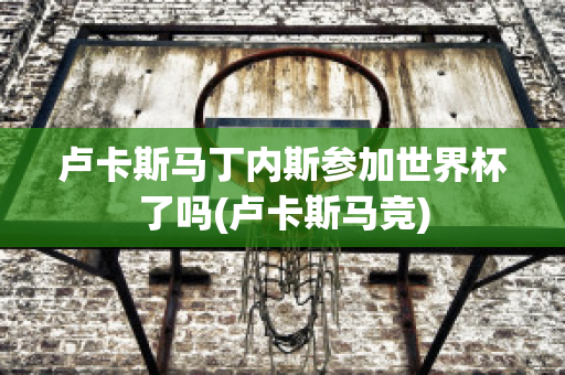 盧卡斯馬丁內(nèi)斯參加世界杯了嗎(盧卡斯馬競(jìng))