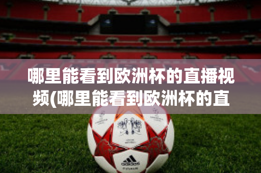 哪里能看到歐洲杯的直播視頻(哪里能看到歐洲杯的直播視頻回放)
