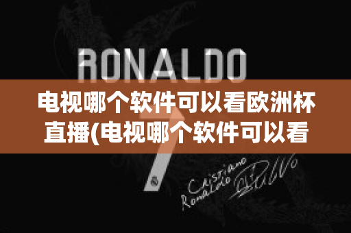 電視哪個軟件可以看歐洲杯直播(電視哪個軟件可以看歐洲杯直播回放)