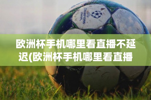 歐洲杯手機哪里看直播不延遲(歐洲杯手機哪里看直播不延遲的軟件)