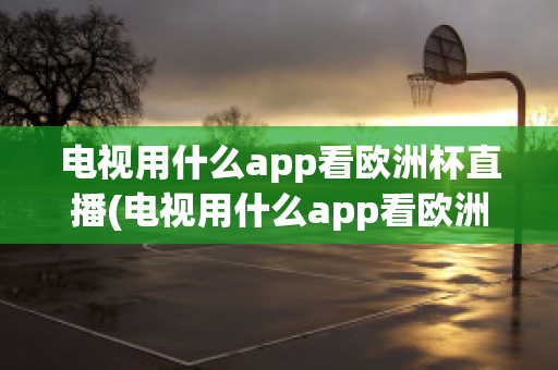 電視用什么app看歐洲杯直播(電視用什么app看歐洲杯直播免費(fèi))