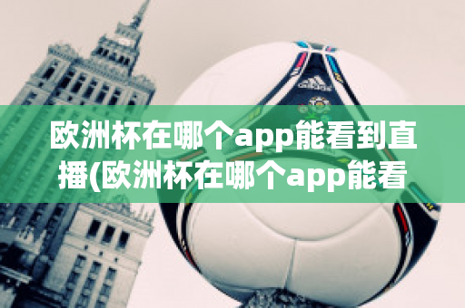 歐洲杯在哪個app能看到直播(歐洲杯在哪個app能看到直播)