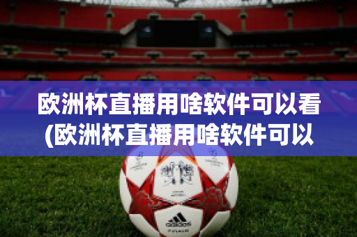 歐洲杯直播用啥軟件可以看(歐洲杯直播用啥軟件可以看到)