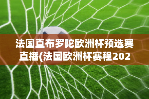 法國直布羅陀歐洲杯預選賽直播(法國歐洲杯賽程2021賽程表)