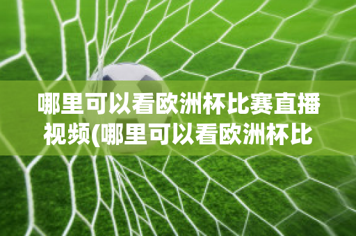 哪里可以看歐洲杯比賽直播視頻(哪里可以看歐洲杯比賽直播視頻回放)