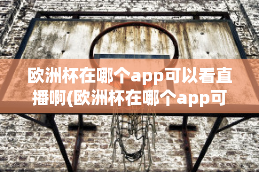 歐洲杯在哪個app可以看直播啊(歐洲杯在哪個app可以看直播啊英文)