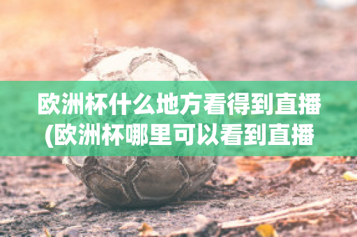 歐洲杯什么地方看得到直播(歐洲杯哪里可以看到直播)