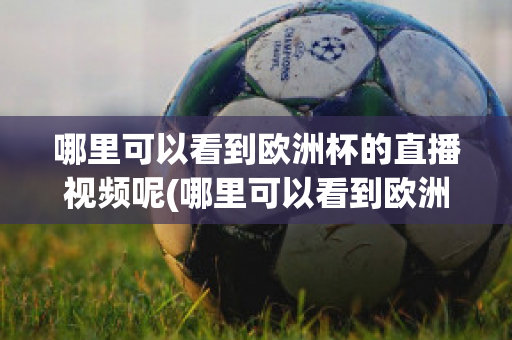 哪里可以看到歐洲杯的直播視頻呢(哪里可以看到歐洲杯的直播視頻呢知乎)