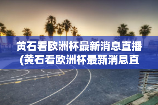 黃石看歐洲杯最新消息直播(黃石看歐洲杯最新消息直播回放)