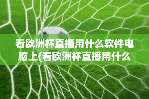 看歐洲杯直播用什么軟件電腦上(看歐洲杯直播用什么軟件電腦上能看)