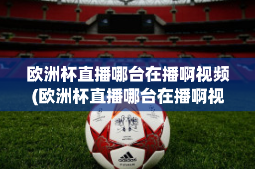 歐洲杯直播哪臺在播啊視頻(歐洲杯直播哪臺在播啊視頻下載)