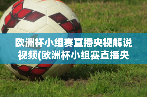 歐洲杯小組賽直播央視解說視頻(歐洲杯小組賽直播央視解說視頻回放)