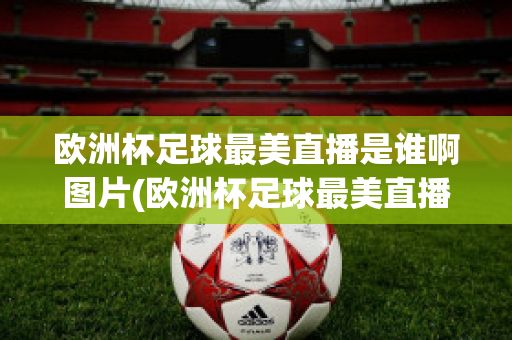 歐洲杯足球最美直播是誰啊圖片(歐洲杯足球最美直播是誰啊圖片視頻)