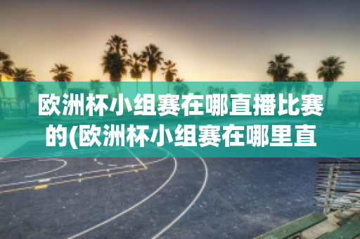 歐洲杯小組賽在哪直播比賽的(歐洲杯小組賽在哪里直播)