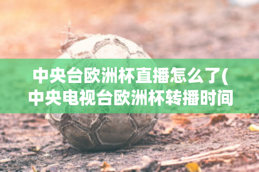 中央臺歐洲杯直播怎么了(中央電視臺歐洲杯轉(zhuǎn)播時間表)