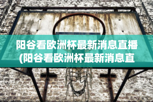 陽谷看歐洲杯最新消息直播(陽谷看歐洲杯最新消息直播回放)