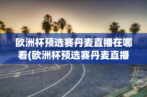 歐洲杯預(yù)選賽丹麥直播在哪看(歐洲杯預(yù)選賽丹麥直播在哪看回放)