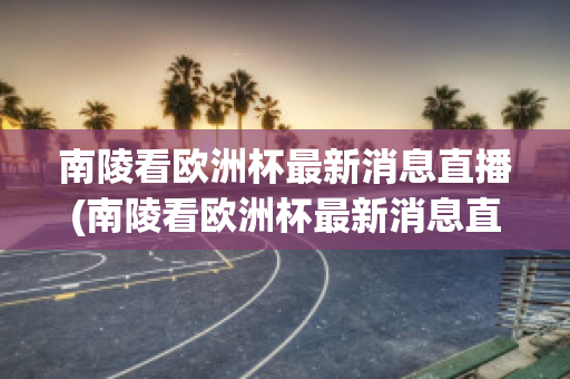 南陵看歐洲杯最新消息直播(南陵看歐洲杯最新消息直播回放)