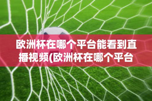 歐洲杯在哪個(gè)平臺能看到直播視頻(歐洲杯在哪個(gè)平臺能看到直播視頻呢)