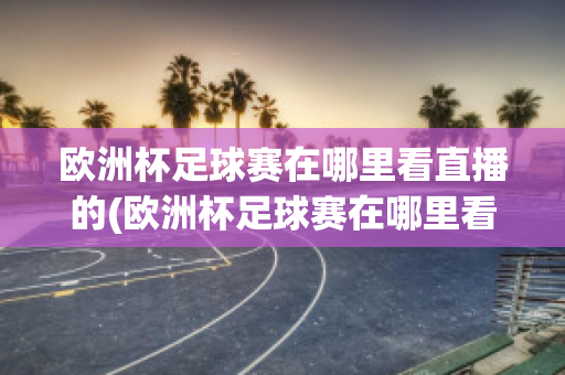 歐洲杯足球賽在哪里看直播的(歐洲杯足球賽在哪里看直播的視頻)